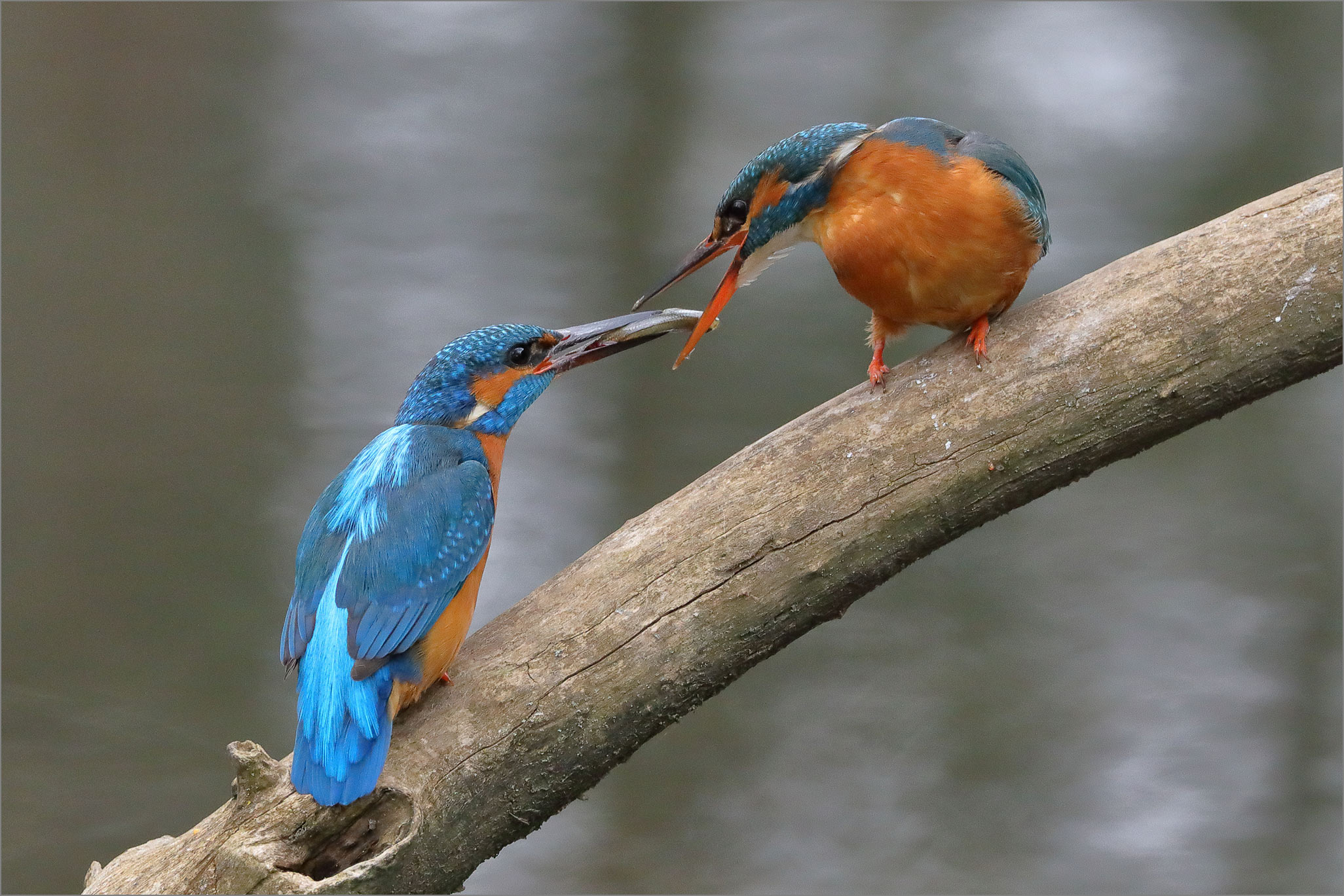 "Liebe ist ........."